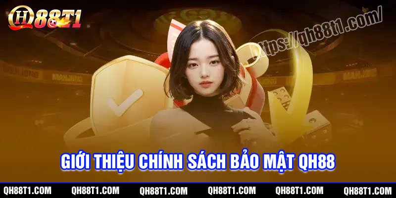 Vai trò của chính sách bảo mật tại QH88