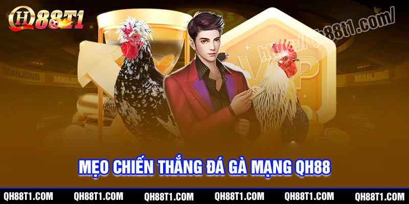 Mẹo hay giành chiến thắng Đá gà mạng QH88